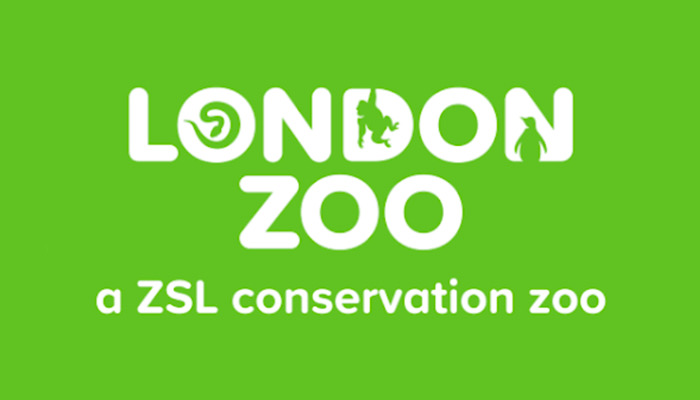 Abbie Taylor, London Zoo, ZSL, Zoological Society of London, Experiences