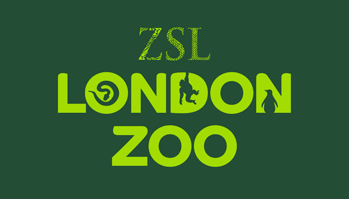 Abbie Taylor, London Zoo, ZSL, Zoological Society of London, Experiences