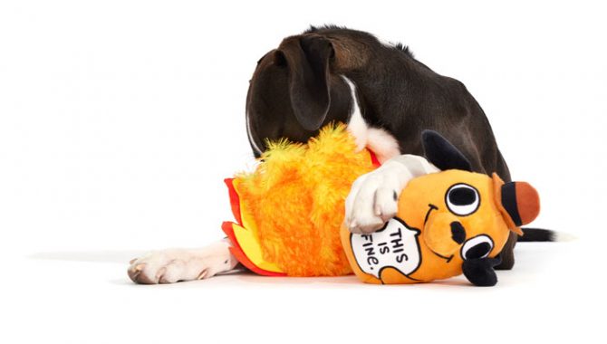 KC Green's 'This is Fine' comic gets the dog toy treatment from Bark -  Brands Untapped