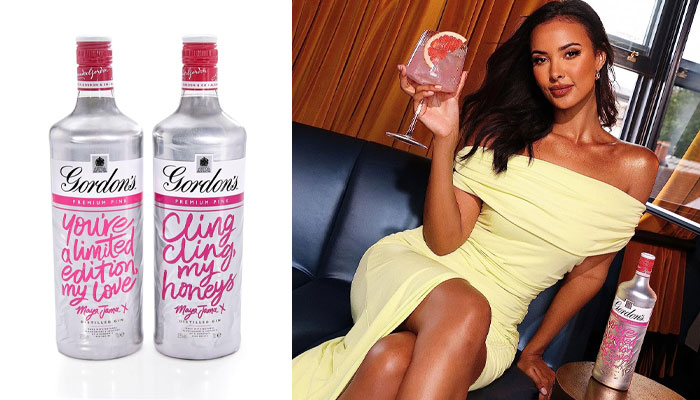 Gordon's Gin and Gordon's Pink Gin - Are They Good?