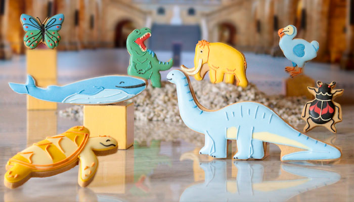 Maxine Lister, Natural History Museum, Biscuiteers, Joanie, Dunelm, Experiences