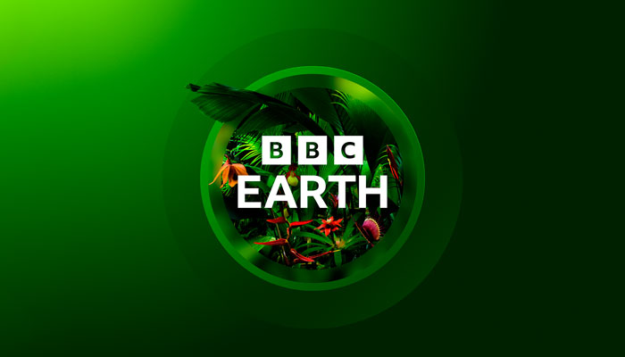 Nick Meikle, BBC Studios, BBC Earth, Film & TV