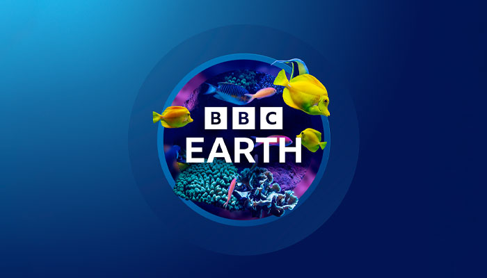 Nick Meikle, BBC Studios, BBC Earth, Film & TV